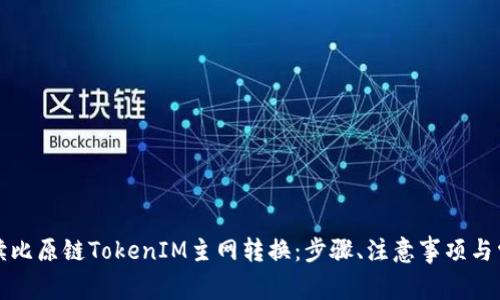 全面解读比原链TokenIM主网转换：步骤、注意事项与常见问题