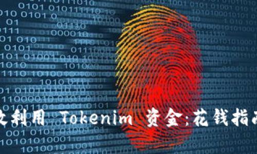 如何有效利用 Tokenim 资金：花钱指南与策略