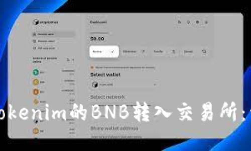 如何将Tokenim的BNB转入交易所：详细指南