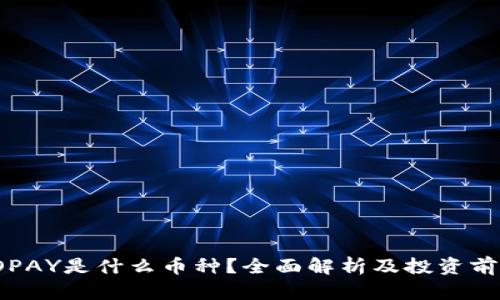TOPAY是什么币种？全面解析及投资前景