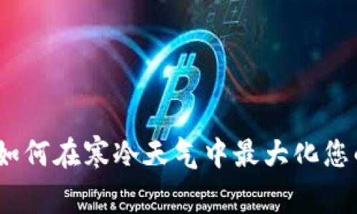 冬季经济：如何在寒冷天气中最大化您的财务管理