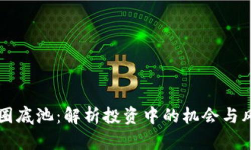 币圈底池：解析投资中的机会与风险