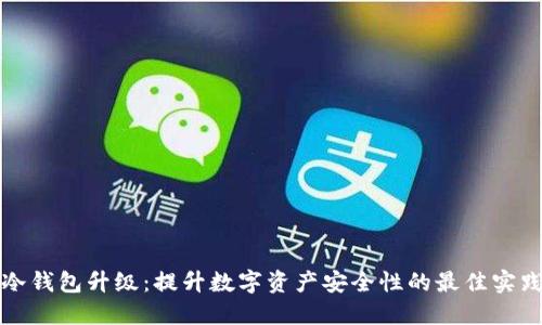 冷钱包升级：提升数字资产安全性的最佳实践