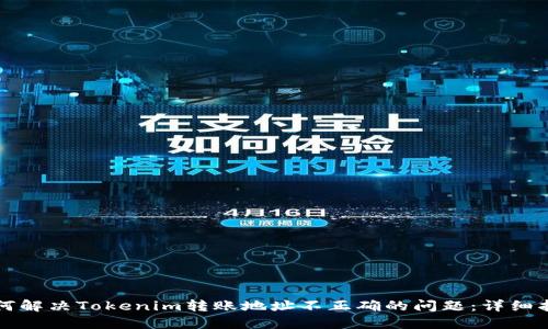 如何解决Tokenim转账地址不正确的问题：详细指南