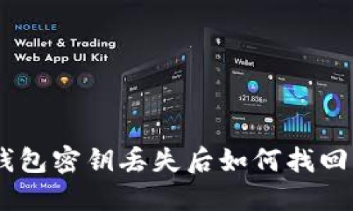 Tokenim钱包密钥丢失后如何找回？详尽指南