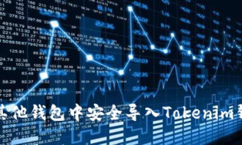 如何在其他钱包中安全导入Tokenim钱包私钥