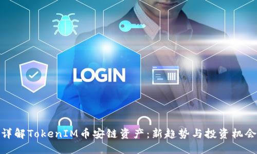详解TokenIM币安链资产：新趋势与投资机会
