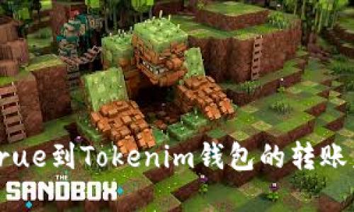 如何解决True到Tokenim钱包的转账未成功问题