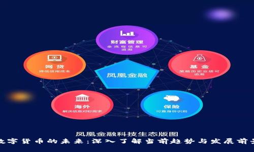 数字货币的未来：深入了解当前趋势与发展前景