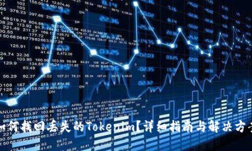 如何找回丢失的Tokenim？详细指南与解决方案