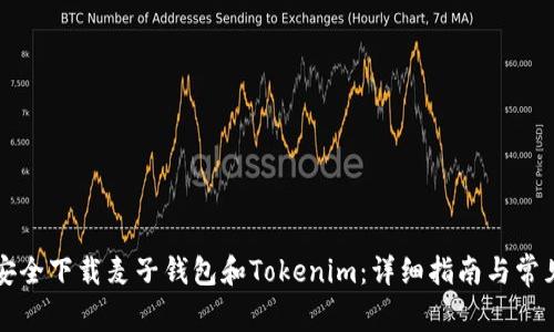 国内如何安全下载麦子钱包和Tokenim：详细指南与常见问题解答