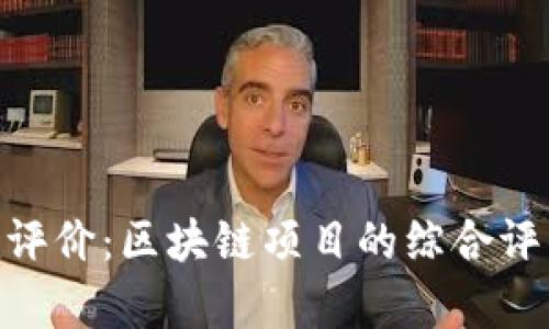 Tokenim评价：区块链项目的综合评估与分析