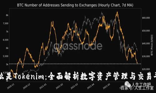 什么是Tokenim：全面解析数字资产管理与交易平台