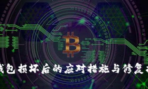 冷钱包损坏后的应对措施与修复指南