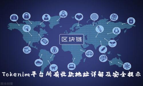 Tokenim平台所有收款地址详解及安全提示