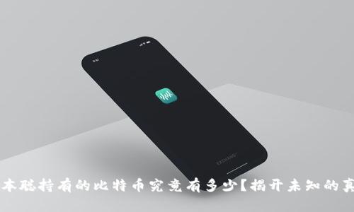 中本聪持有的比特币究竟有多少？揭开未知的真相