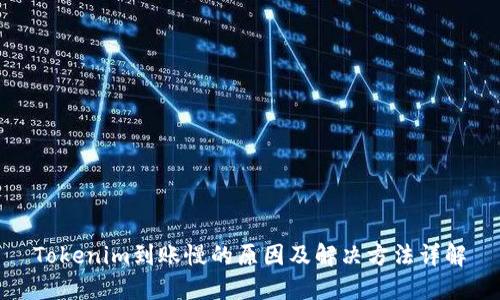 Tokenim到账慢的原因及解决方法详解
