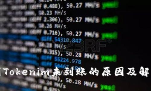 提币到Tokenim未到账的原因及解决方案