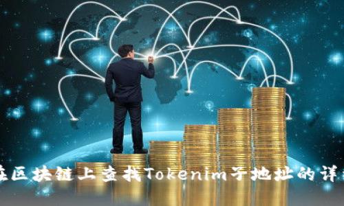 如何在区块链上查找Tokenim子地址的详细指南