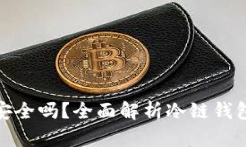 冷链钱包安全吗？全面解析冷链钱包的安全性