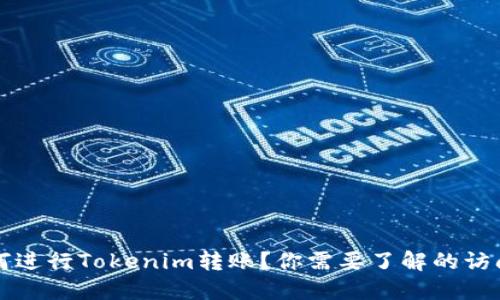 ### 如何进行Tokenim转账？你需要了解的访问地址问题