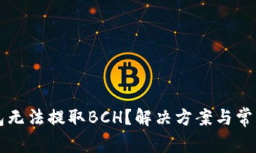 比特派钱包无法提取BCH？解决方案与常见问题分析