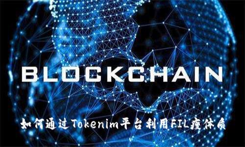 如何通过Tokenim平台利用FIL瘦体质
