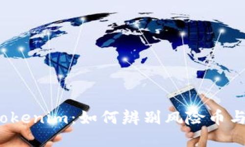 2023年Tokenim：如何辨别风险币与安全投资