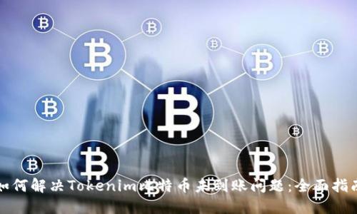 如何解决Tokenim比特币未到账问题：全面指南