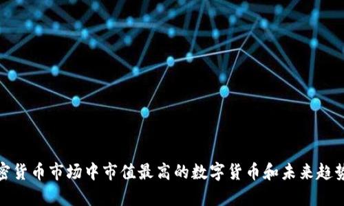 : 加密货币市场中市值最高的数字货币和未来趋势分析