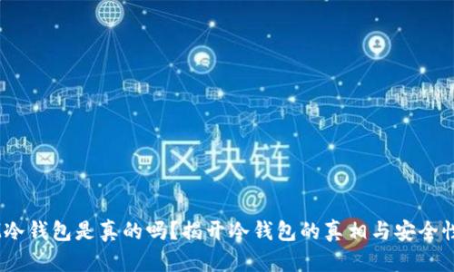 DSIM冷钱包是真的吗？揭开冷钱包的真相与安全性分析