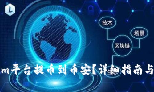 如何在Tokenim平台提币到币安？详细指南与常见问题解答