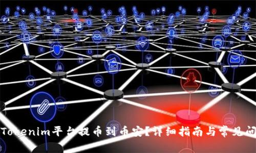 如何在Tokenim平台提币到币安？详细指南与常见问题解答