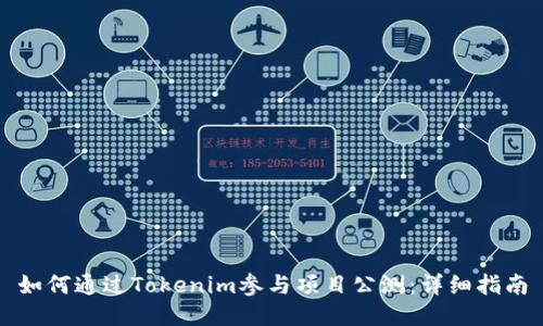 如何通过Tokenim参与项目公测：详细指南