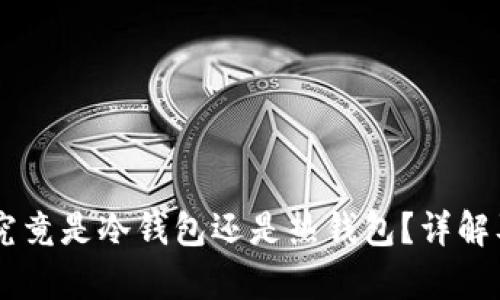 币信钱包究竟是冷钱包还是热钱包？详解及区别分析