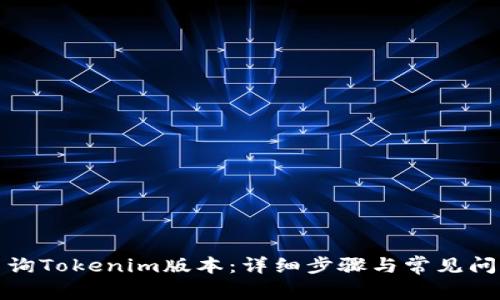 如何查询Tokenim版本：详细步骤与常见问题解答