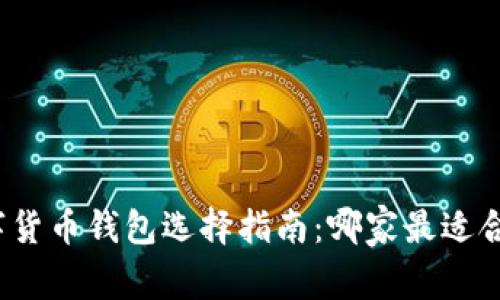 数字货币钱包选择指南：哪家最适合您？