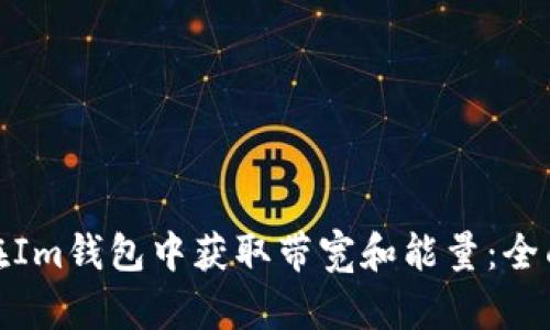 如何在Im钱包中获取带宽和能量：全面攻略