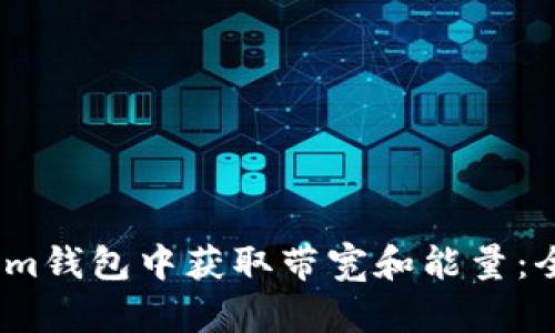 如何在Im钱包中获取带宽和能量：全面攻略