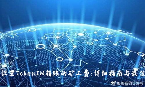 如何设置TokenIM转账的矿工费：详细指南与最佳实践
