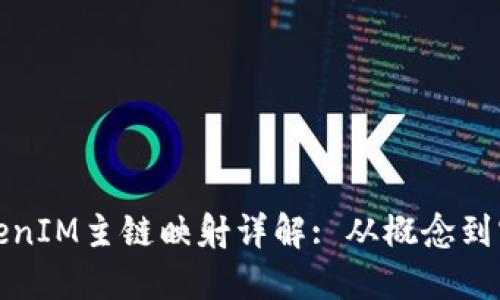 TokenIM主链映射详解: 从概念到实践