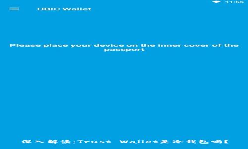 深入解读：Trust Wallet是冷钱包吗？