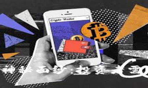 揭开山寨Token的神秘面纱：投资者需警惕的创新与风险