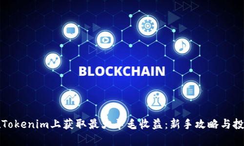 如何在Tokenim上获取最大羊毛收益：新手攻略与投资秘籍
