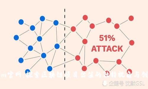 Tokenim官网：探索区块链项目估值的独特视角与创新分析