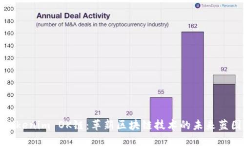 Tokenim OK链：革新区块链技术的未来蓝图