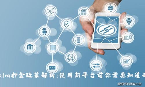 Tokenim押金政策解析：使用新平台前你需要知道的一切