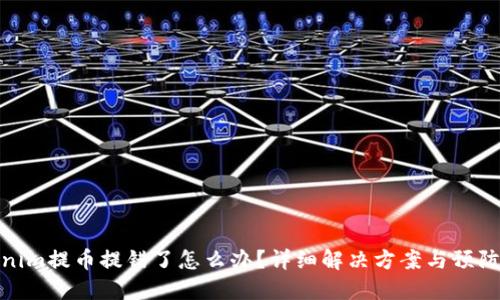 Tokenim提币提错了怎么办？详细解决方案与预防措施