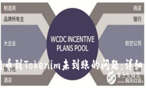 如何解决转币到Tokenim未到账的问题：详细指导与技巧