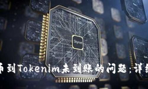 如何解决转币到Tokenim未到账的问题：详细指导与技巧